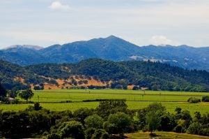 Scenic image of trees and mountains